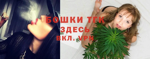 mdpv Инсар