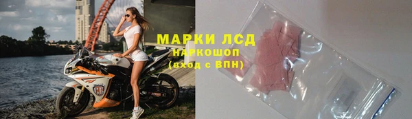 сатива Иннополис