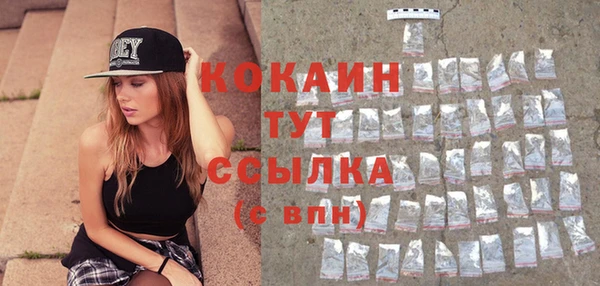 сатива Иннополис