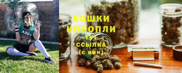 сатива Иннополис