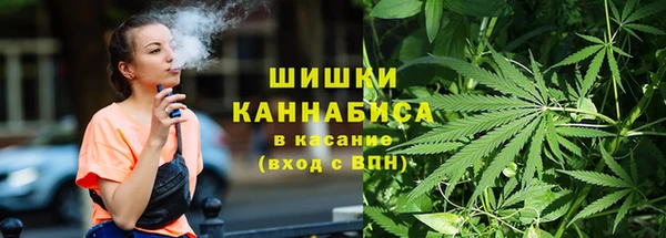 mdpv Инсар