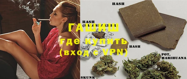 сатива Иннополис