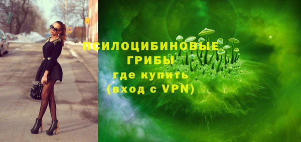 сатива Иннополис