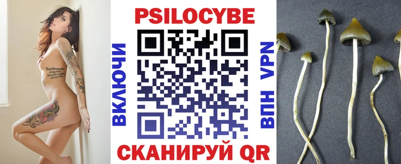 Купить закладки  Инза  Галлюциногенные грибы прущие грибы 