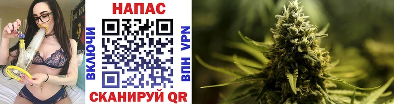 Купить где  Инза  Каннабис Ganja 